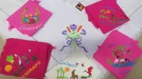 Ponchos y artesanías del llano