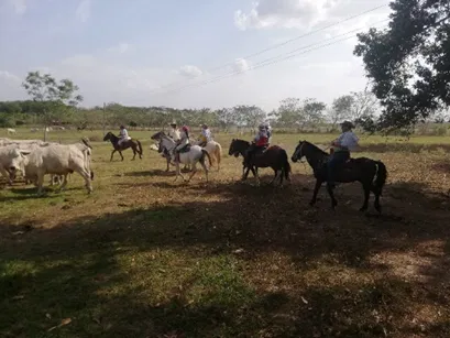 pasadia llanero por un día en Casanare