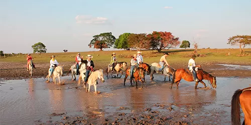 safari-llanero-en-casanare
