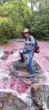 caño imara escarlata en yopal casanare