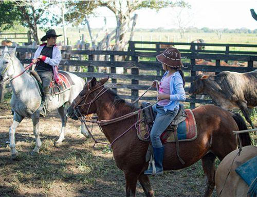 Cómo el trabajo de Llano transforma vidas