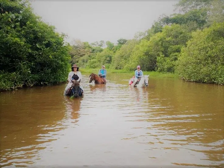 ruta safari llanero en casanare noviembre 2025 – 12 Imagen de turistas sentados en un corral, haciendo turismo llanero